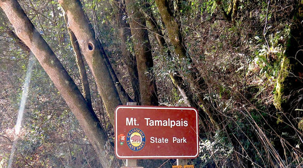 Mount Tamalpais State Park 