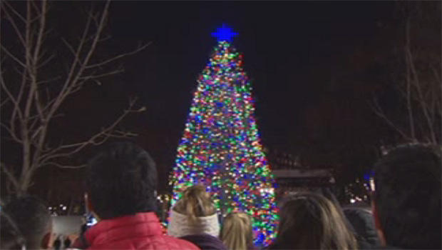 christmas-tree-boston-common-620.jpg 
