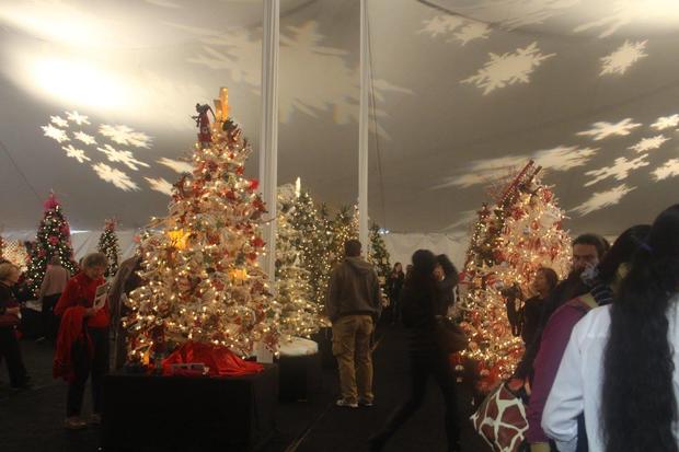 Festival of the Trees 