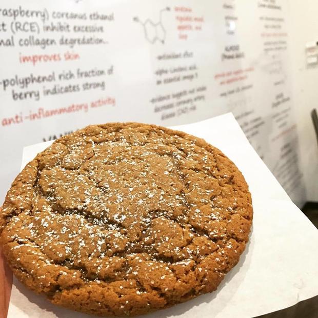 The Dessert Lab - Molasses Cookies 