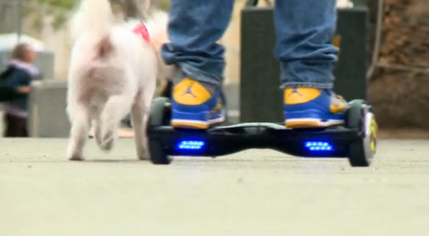 hoverboard-walking-dog.png 