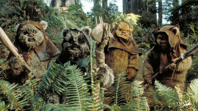 ewoks.jpg 