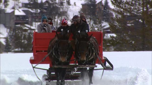 Dashing Thru The Snow sleigh rides 
