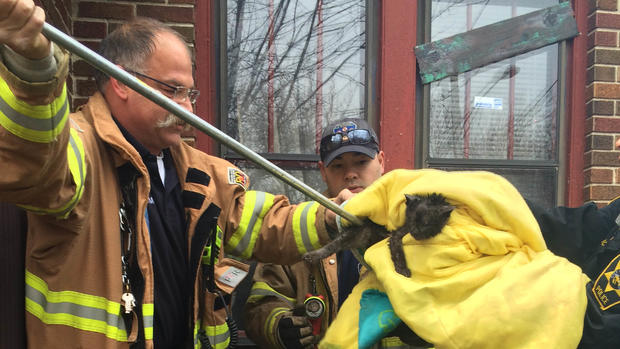 Firefighters Rescue Kitten 