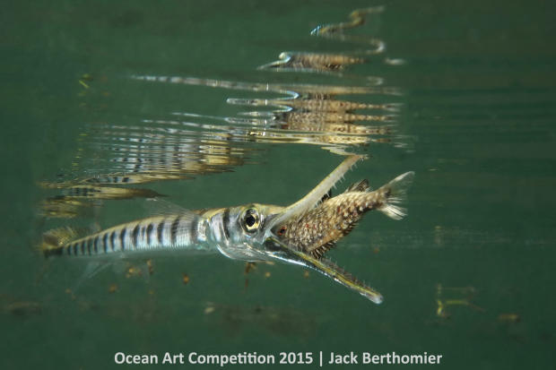 1st-cb-ocean-art-2015-jack-berthomier-1200.jpg 