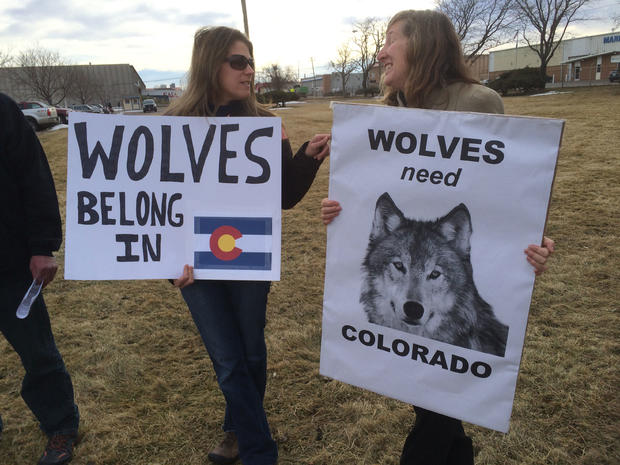 Wolf demonstrators 