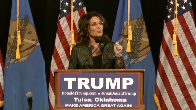 palin-for-david1.jpg 