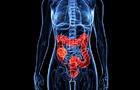 colon-large-intestine-medical-illustration.jpg 