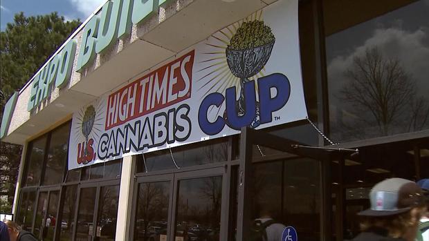 Cannabis Cup 