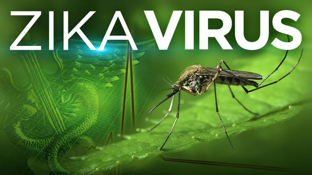 zika-virus-web.jpg 