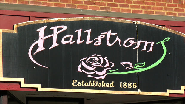 Hallstroms Flower Shop - Best Of Minnesota 