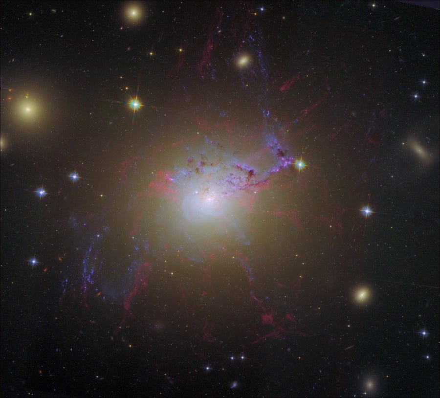n1275hstkelly900.jpg 