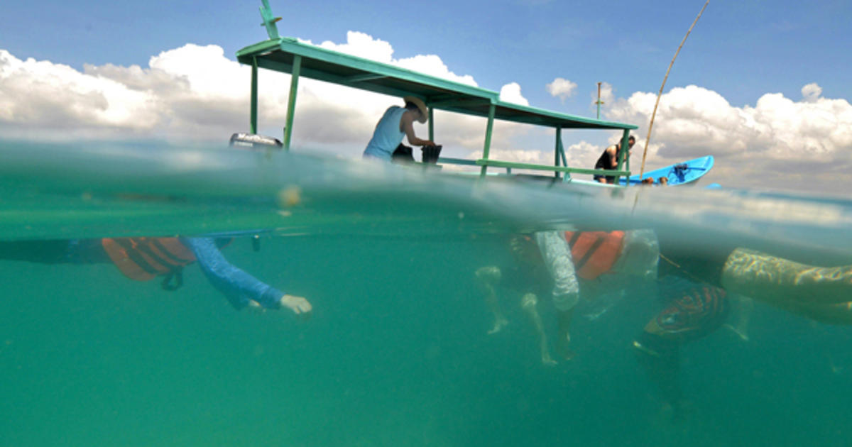 tourist dies snorkeling
