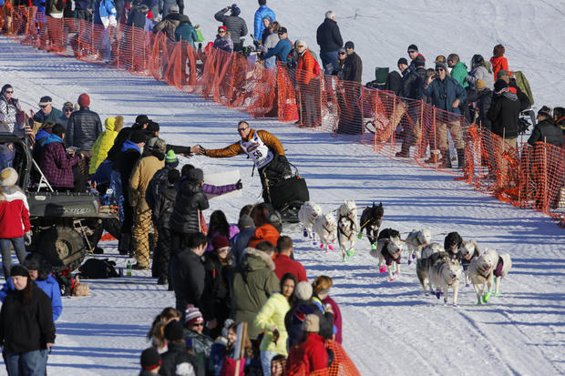Iditarod dog-sled race-2016-03-07t073836z1152826413d1besrcgyuaartrmadp3usa-iditarod.jpg 