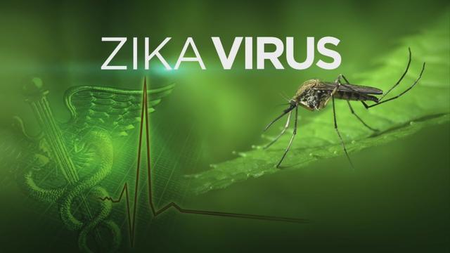 zika-virus-graphic.jpg 