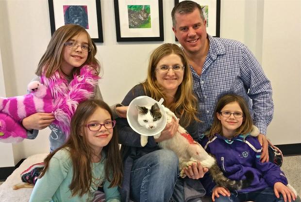Scalded Cat Driver Recovers, Is Adopted 