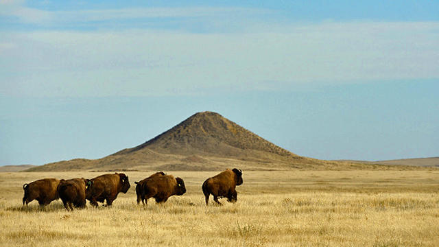 bison-range.jpg 
