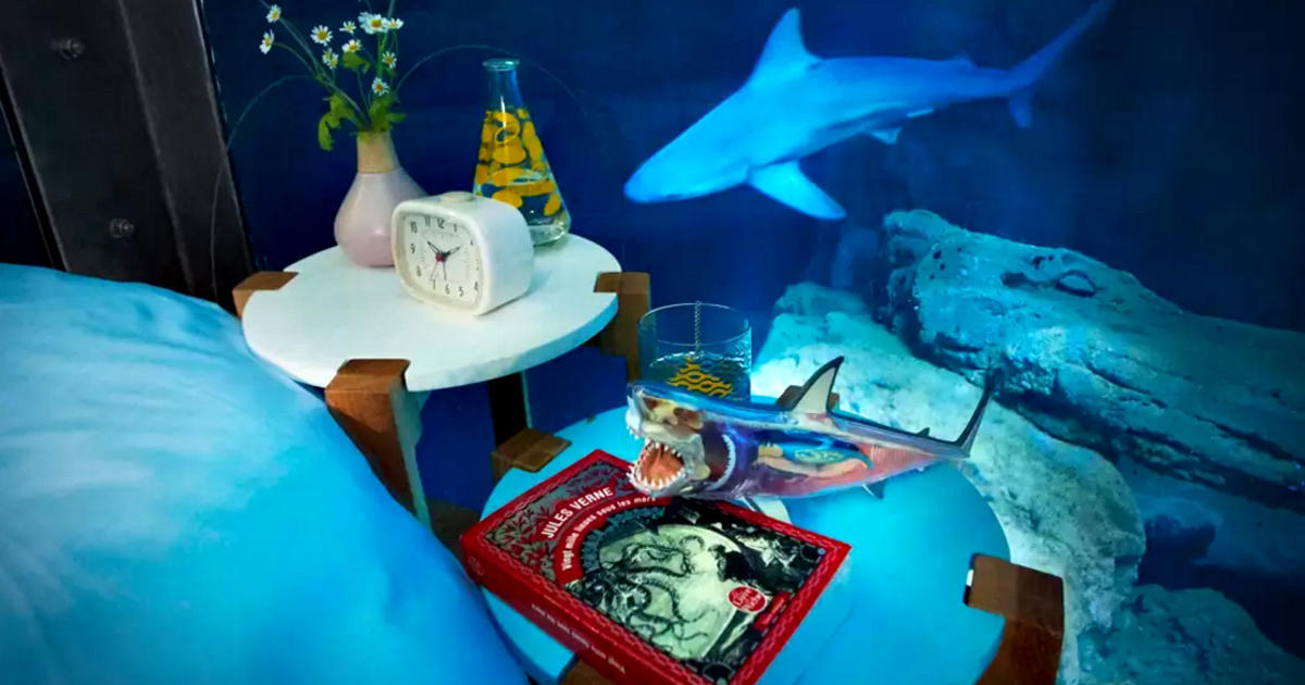 Watch: Spend a Romantic Night in Paris, With 35 Sharks