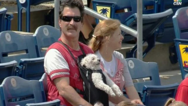 dogphillies.jpg 