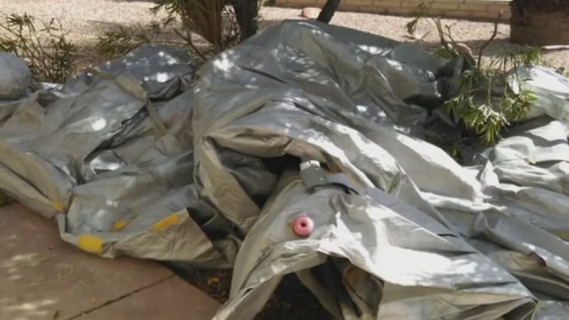mesaarizonaplaneemergencyslide033016.jpg 