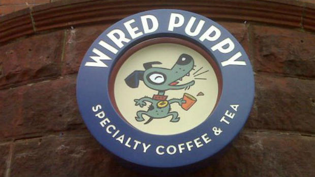 Wired Puppy Boston 