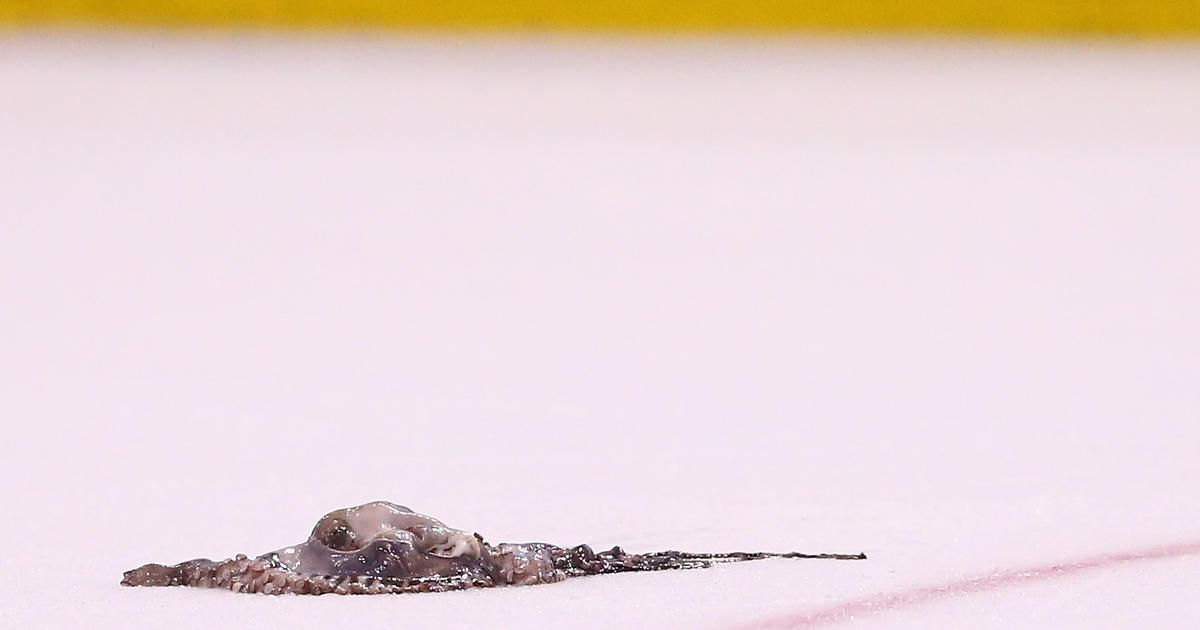 A Red Wings fan threw an octopus on the ice in Boston … with