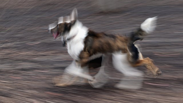 gettyimages-151389334.jpg 