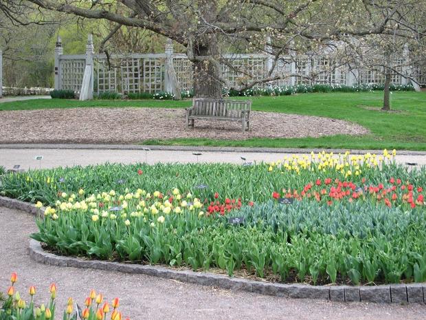 Minnesota Landscape Arboretum - Spring Bulbs 