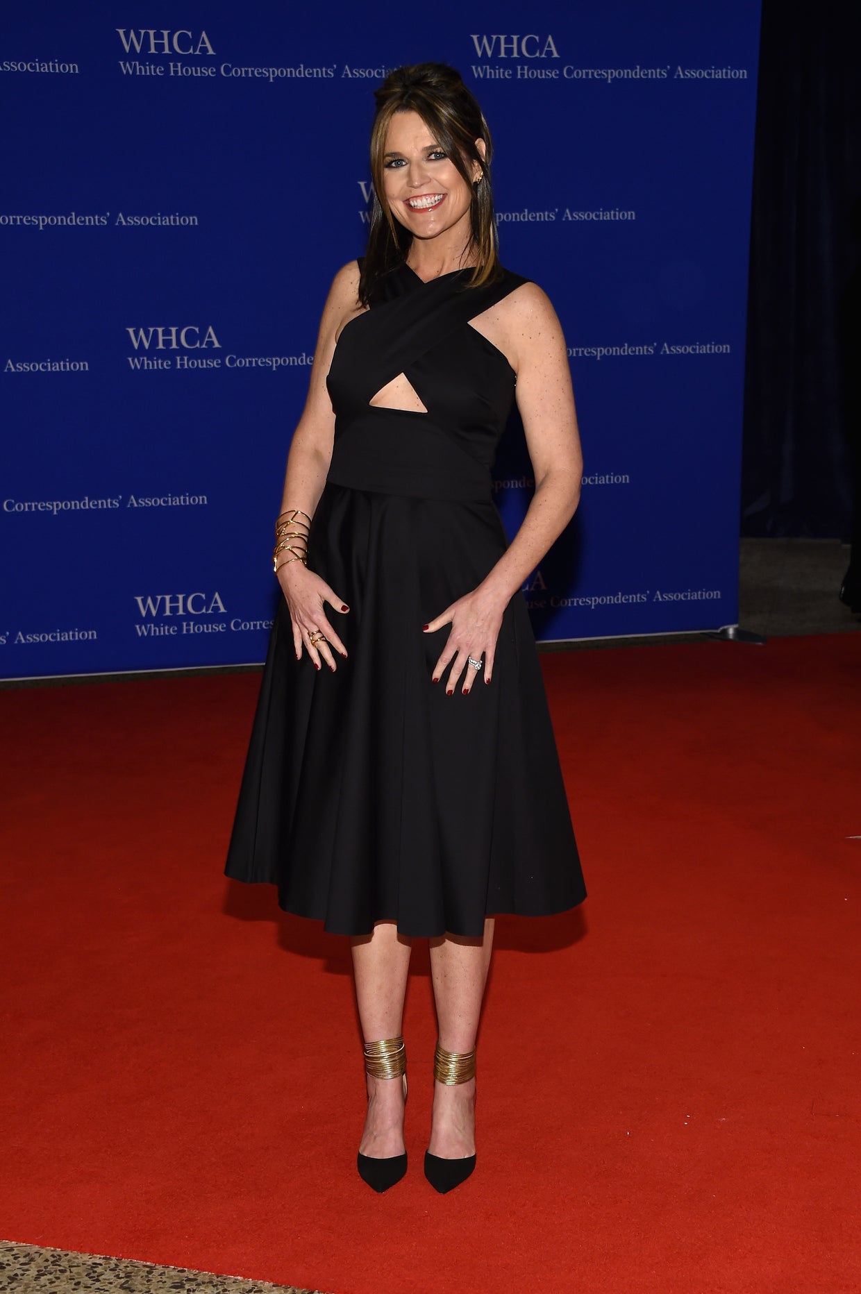 White House Correspondents' Dinner 2016 red carpet