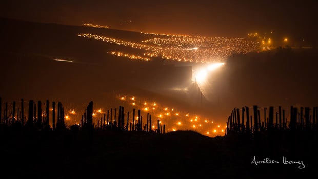​Torches light vineyards in Chablis, France, on April 27, 2016, in this photo provided by Aur&eacute;lien Ibanez. 