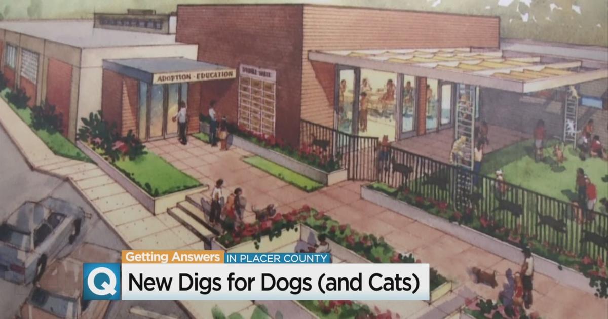 New Placer County SPCA Building Just $100,000 Away From Reality - CBS  Sacramento