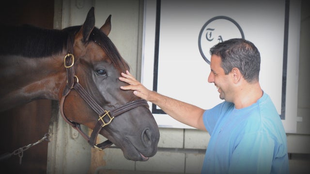 ctm0506derby-horse-uncle-mo.jpg 