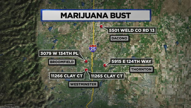 Marijuana Busts Northern CO MAP 