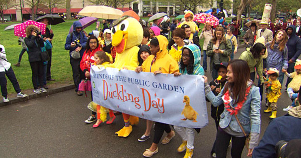Duckling Day Parade Marks 75th Anniversary Of 'Make Way For Ducklings