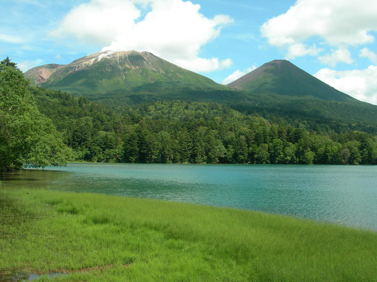 Boy abandoned in Japanese forest by parents found alive - CBS News