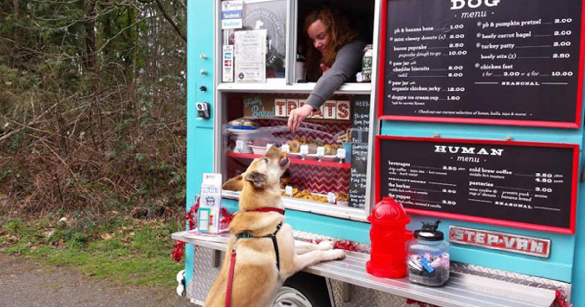 Food Truck For Dogs Has Tails Wagging - CBS Boston