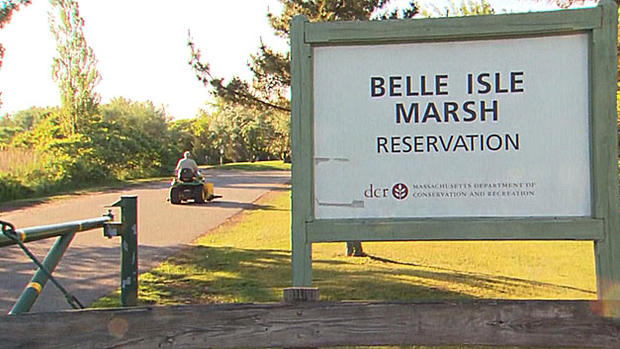 belle isle marsh reservation 