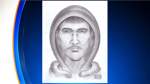 Brooklyn Attempted Abduction Sketch 