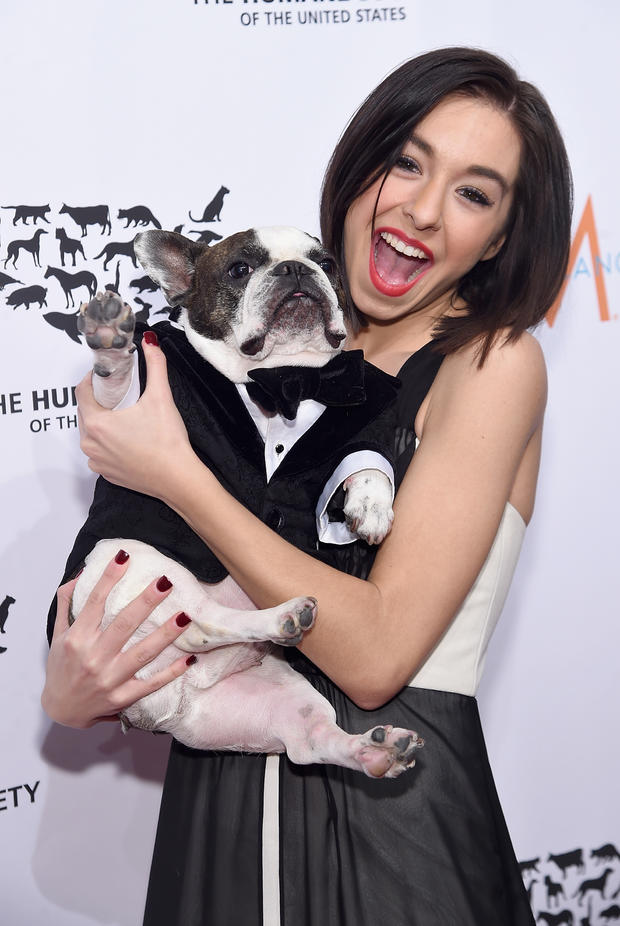 Christina Grimmie with Baxter attend the 2015 To The Rescue! New York Gala at Cipriani 42nd Street on Nov. 13, 2015, in New York City. 