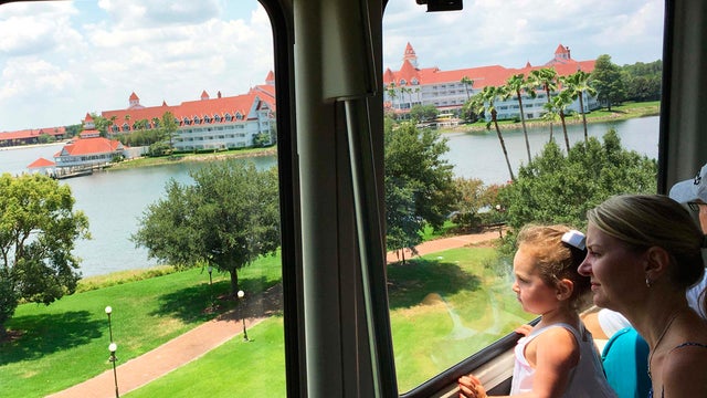2016-06-15t173414z184628771tm3ec6f11lg01rtrmadp3florida-alligator-child.jpg 