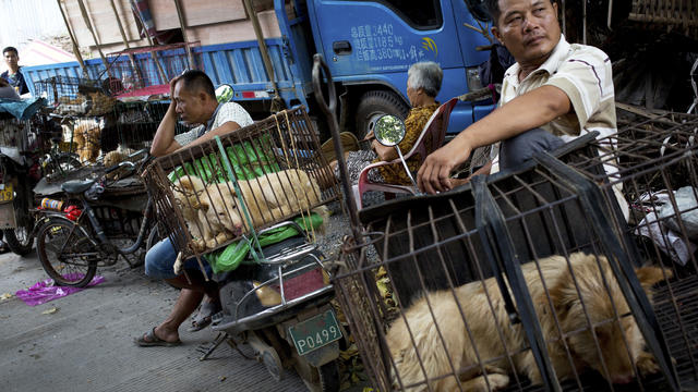 yulinchinadogmeat.jpg 