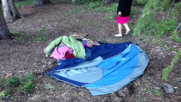 Bear Tent 
