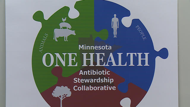 one-health-antibiotics-program.jpg 