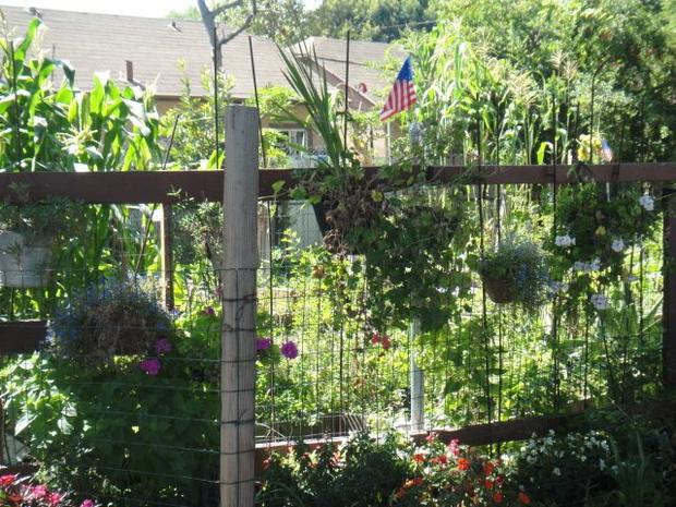 Union Avenue Cesar Chavez Community Garden 