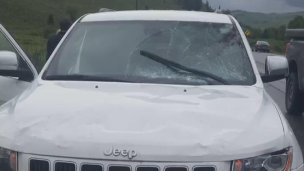 car hits moose damage 