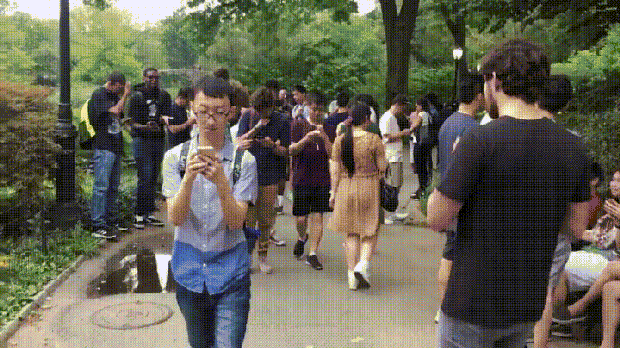 central-park.gif 