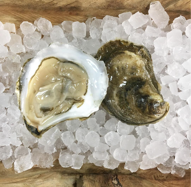 American Whiskey Oysters 