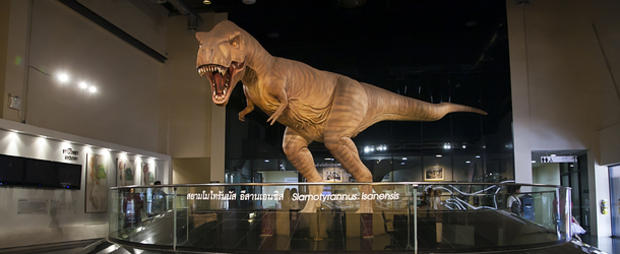 dinosaur 610 