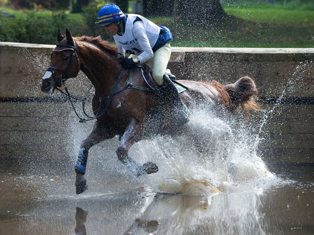eventing.jpg 