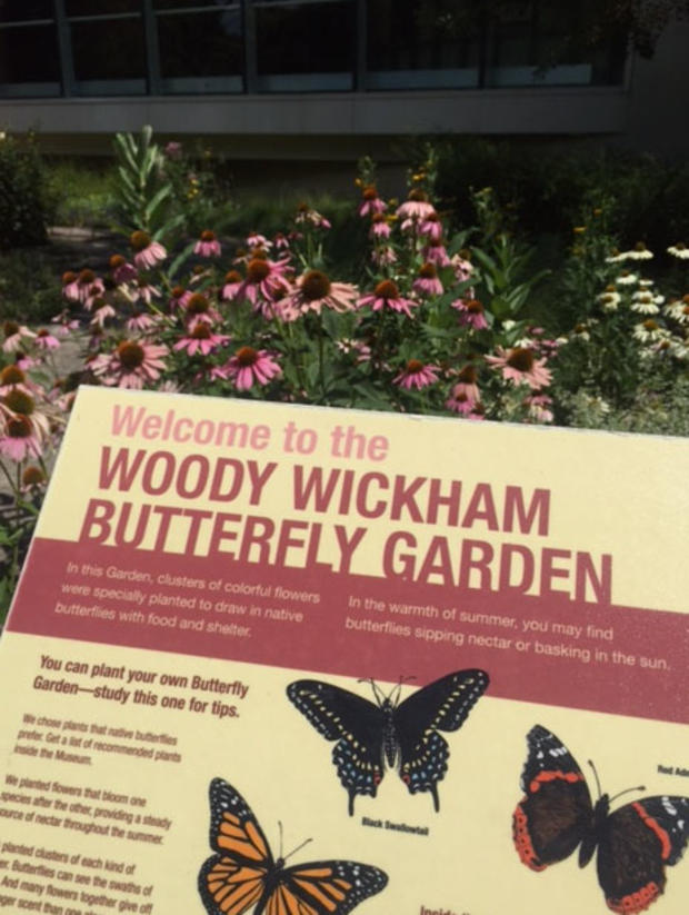 Woody Wickham Butterfly Garden 